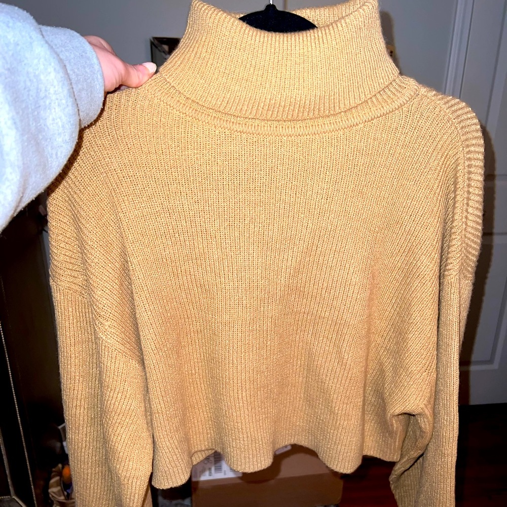Tan Turtleneck
